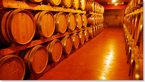 800 Fsser befinden sich im Weinkeller von Macia Batle.