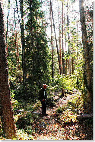 Wanderung durch den Urwald von Linnavuori.
