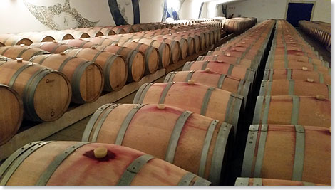 Lagerung des Weins in Barrique-Fssern aus Eichenholz.