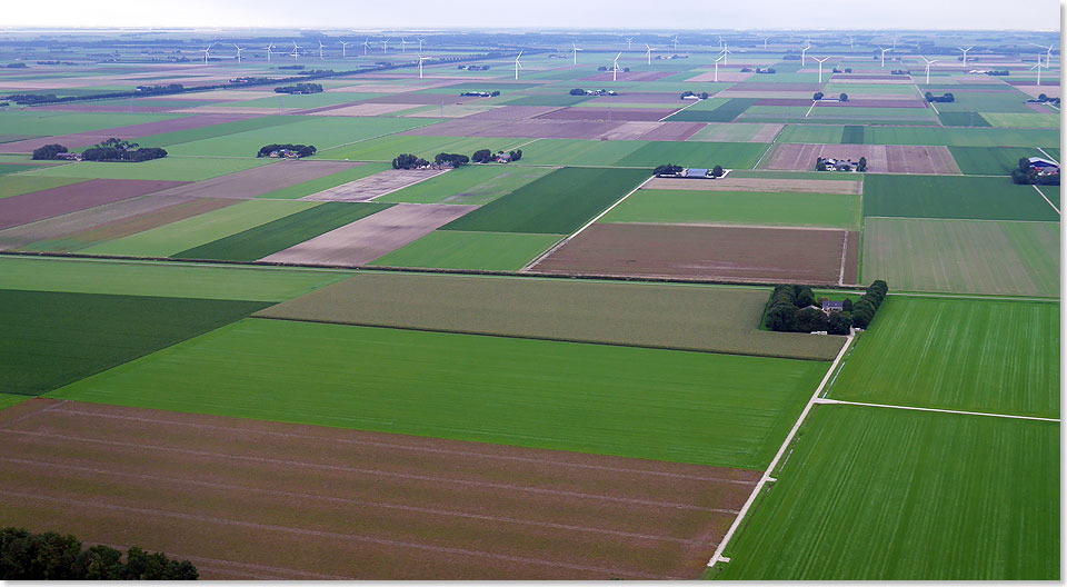 Farmland Flevoland  ein Flickenteppich aus Feldern und dazwischen die Hfe. Auch der stndige Wind wird genutzt.