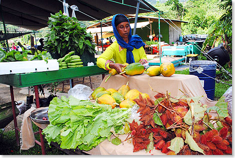 Der Green Market von Santa Cruz bietet neben frischem Obst und Gemse 