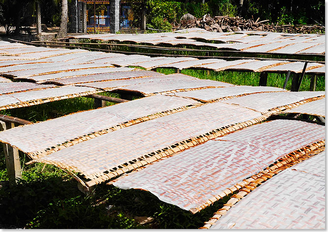 Ben Tre Provinz  Auf Bambusplatten werden die Reisfladen in der Sonne getrocknet. Daraus entstehen Reisnudeln.
