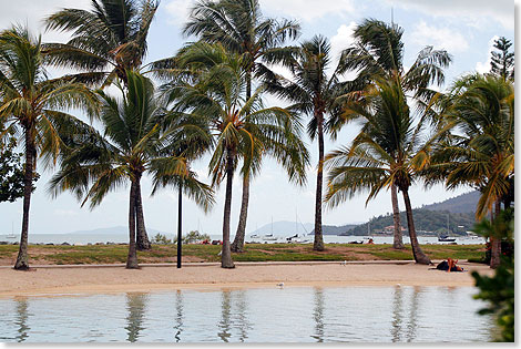 Whitsunday Islands  Badestelle in Arlie Beach.