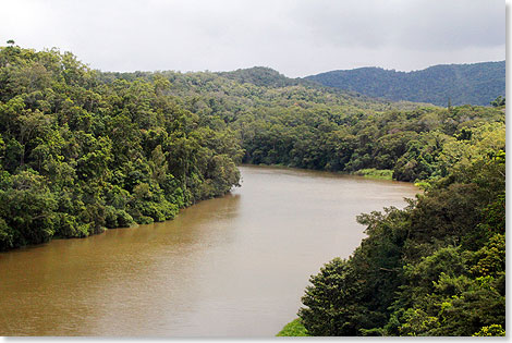 Cairns-Kuranda  Der Barron River unter einer Gondel der Skyrail.