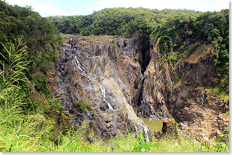 Cairns-Kuranda  Blick auf die Barron Falls von der gleichnamigen Station.
