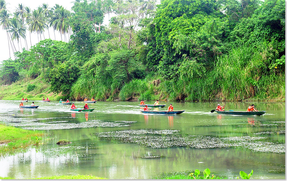 Pagsanjan auf Luzon, Philippinen  Die Flotte der Kanus ist im Anmarsch.