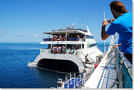 Der Katamaran bringt die Tages- und bernachtungsgste von Airlie Beach oder Hamilton Island nach Reefworld, 