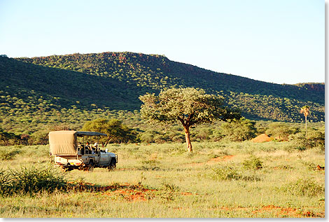 Mit dem offenen Jeep geht es durch Okonjima. Das heutige private Reservat entstand aus dem Weideland mehrerer Rinderfarmen.