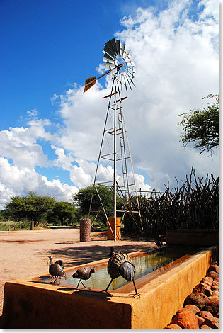Vom einfachen Campingplatz bis zur Luxusvilla reicht das Angebot an bernachtungsgelegenheiten in Okonjima. An die Zeiten der Rinderfarm erinnern die Viehtrnke und das Windrad fr die dazugehrige Wasserpumpe.