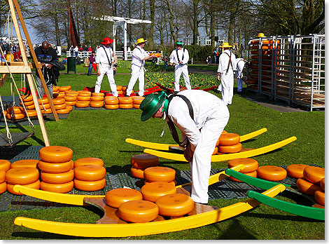 Eigentlich in Edam, Gouda und Alkmar zu Hause, an Wochenenden auch im Keukenhof ist ein Ksemarkt.