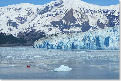 Wie gewaltig der Hubbard Glacier ist, erkennt man am Schlauchboot. Es versucht, kleine Eisbrocken als Beute an Bord zu bringen. 