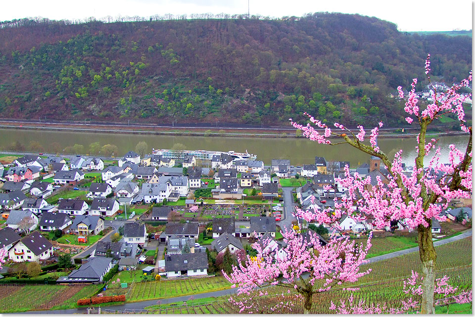 Zwischenstopp in Alken an der unteren Mosel inmitten der Weinberge.