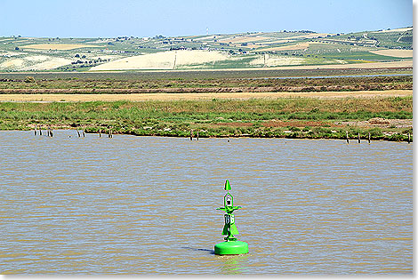 Das Guadalquivir-Fahrwasser reicht bis hart ans Ufer heran, an das Weinberge grenzen
