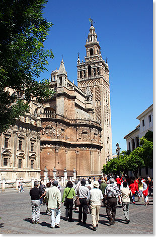 Der mchtige Turm der Kathedrale von Sevilla.