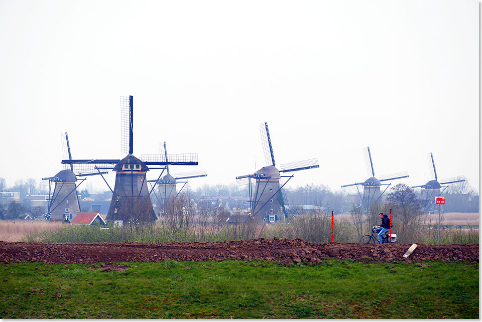 Die Mhlen von Kinderdijk in der Nhe von Rotterdam gehren zum Welterbe. Sie werden gepflegt und helfen noch immer, Wasser aus dem Land zu schpfen.