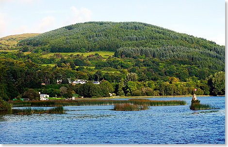 Blick ber die sanften Hgel der Lakelands bei Killaloe am Ufer des Shannon.