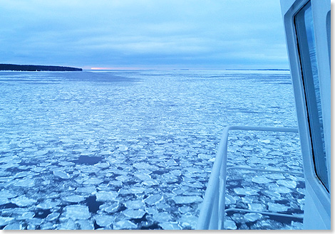 Pfannkucheneis zwischen den Schren der Bottenvik im finnischen Lappland.