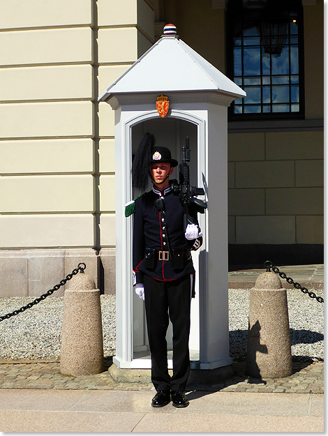 Auf Posten: Ein Wachsoldat vor dem Kniglichen Schloss in Oslo.