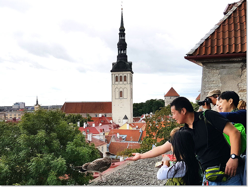 Blick von der Oberstadt auf Tallinn.
