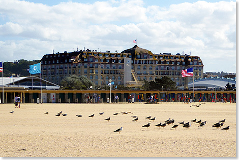 Das Normandy gehrt zu den bedeutendsten Hotels der Welt, in dem die Groen und die Reichen urlauben. Nur ein paar Schritte entfernt beginnt der Sandstrand, der Platz fr jedermann bietet und auf dem Vgel ausruhen.