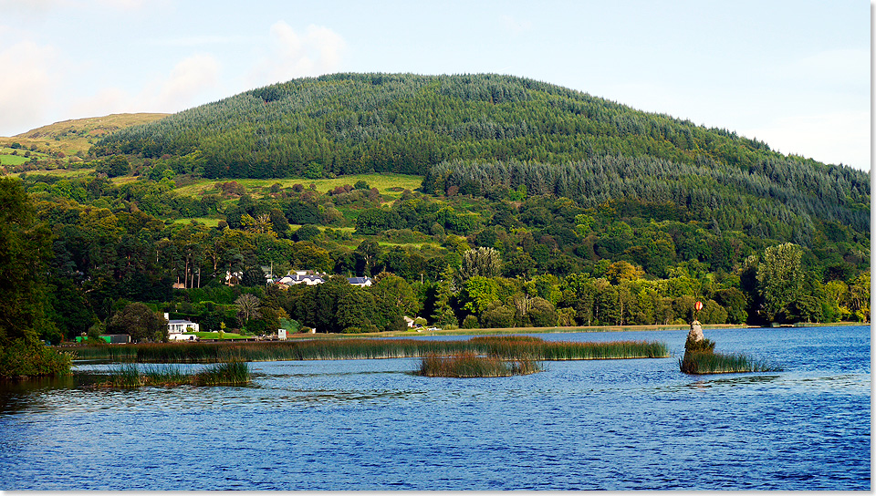  Blick ber die sanften Hgel der Lakelands bei Killaloe am Ufer des Lough Derg, der irischen Bezeichnung fr den Shannon.