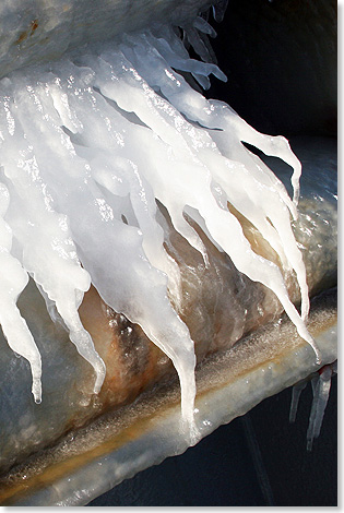 Eiszapfen, vom Wind geformt,  in den Klsen.