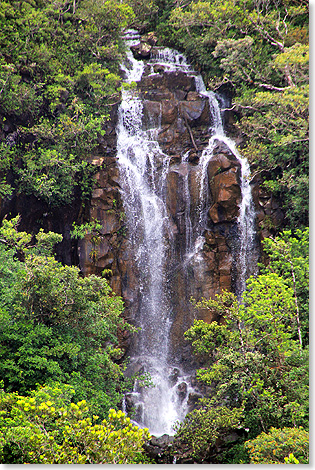 Ein Wasserfall im Nationalpark.