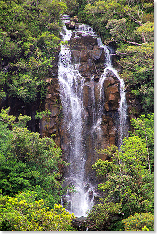 Foto: Dr. Peer Schmitd-Walther, Stralsund Ein Wasserfall im Nationalpark.