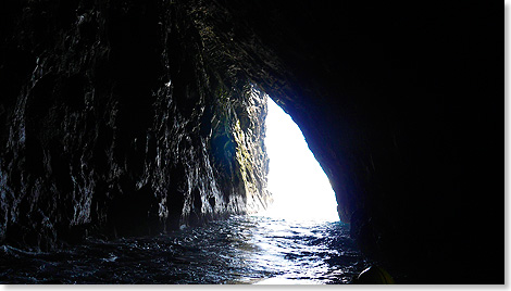 Der Skipper ist erfahren, sicher steuert er das schaukelnde Boot durch die enge Grotte.