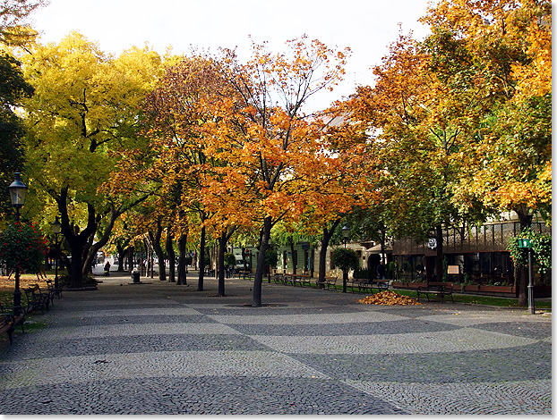 Im Hviezdoslav-Park vor dem Slowakischen Nationaltheater. 