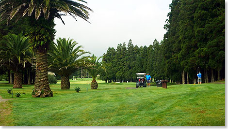 Golfen ist ein sehr beliebter Sport auf São Miguel ...
