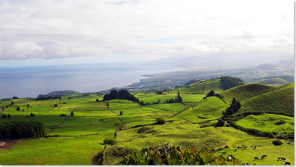São Miguel wird nicht umsangst „grüne Insel” genannt. In der Ferne liegt Ponta Delgada, die Hauptstadt der Azoren.